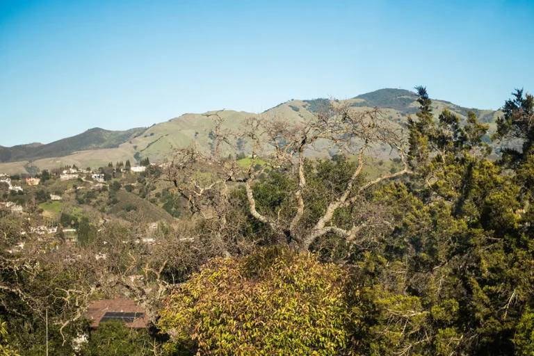 b2f84137-1123-4c75-a156-f367cac3a2d8