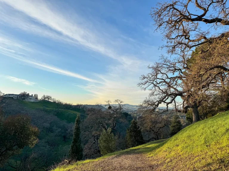 bbebf1cd-ebac-40fb-bc03-4640b6edbbf1